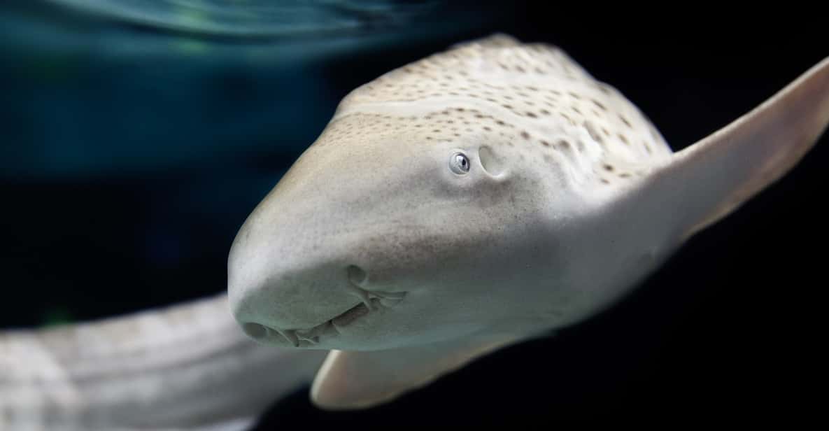 Lyon: Aquarium Entrance Ticket - The Six World-Sized Exhibits: From La Confluence to Ocean 360