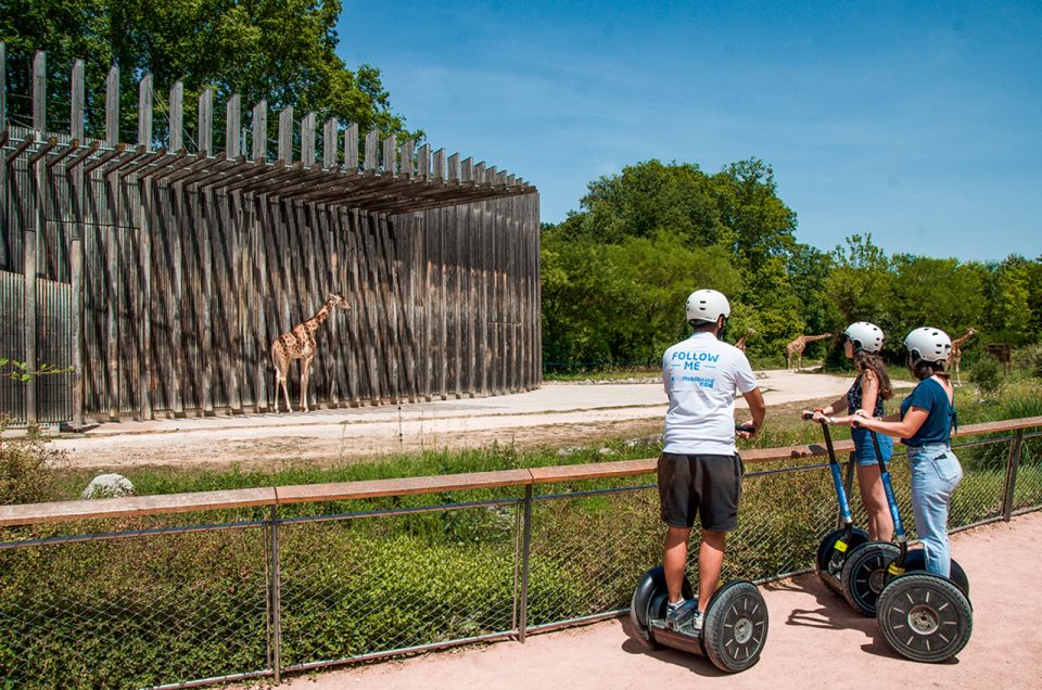 Lyon: City Segway Tour with a Local Guide - Rhône and Saône Embankments: Panoramas Without the Walk