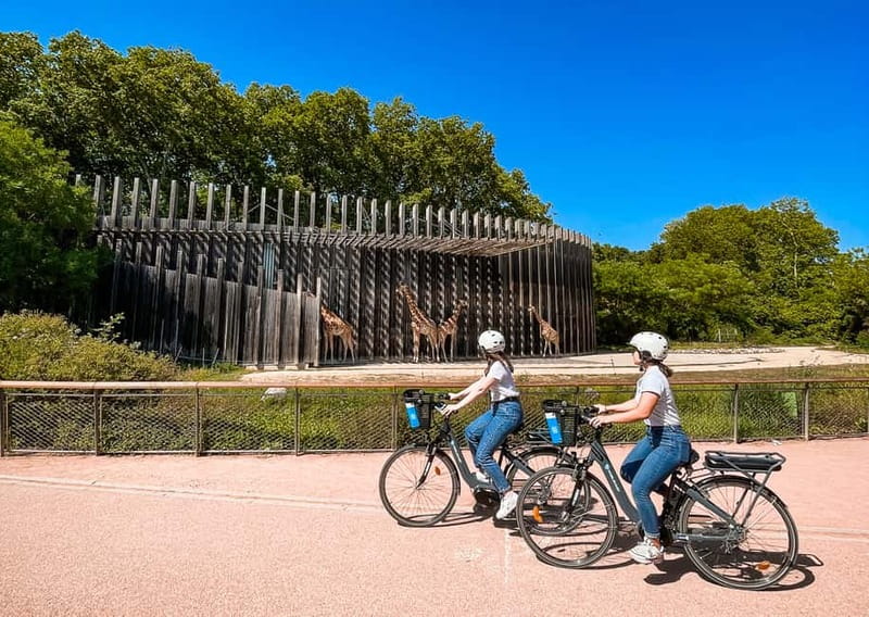 Lyon: Guided City Bike Tour - Bike comfort, helmets, ponchos, and the pace of 3 hours