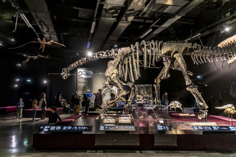 Lyon: Musée des Confluences Entrance Ticket - Temporary Exhibits: The Real Reason to Come Back