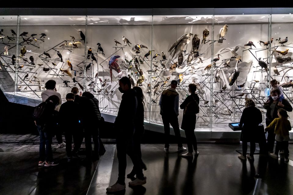 Lyon: Musée des Confluences Entrance Ticket - Ticket Value: What Your Fast-Track Entrance Really Covers