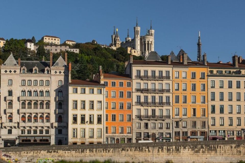 Lyon: Private custom tour with a local guide - Museums and ticket support: how to add culture without derailing your day