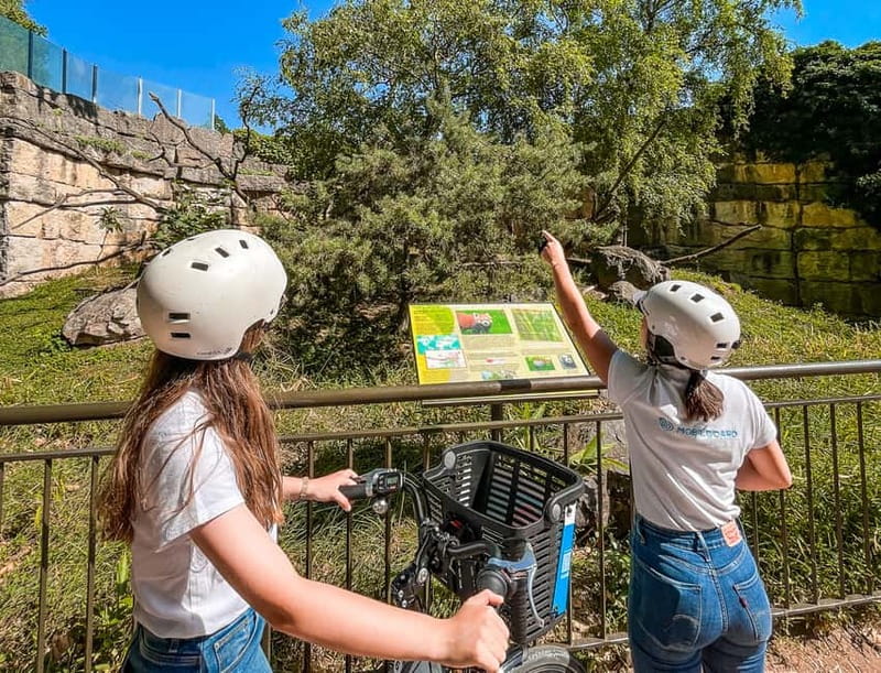 Lyon: Tête d'Or park on an electric bike Tour - Lake Time and Easy Atmosphere