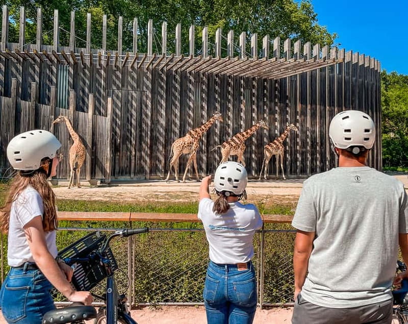 Lyon: Tête d'Or park on an electric bike Tour - Starting at 7 Quai Romain Rolland: Quick Prep, Then Go