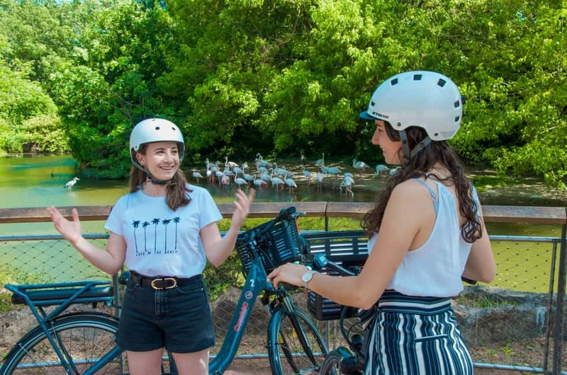 Lyon's must-sees by electric bike - Riding the Saône: Old Town facades and classic river views