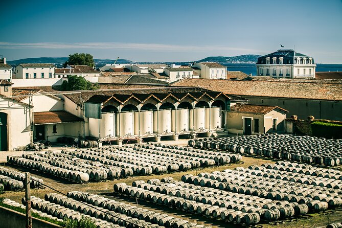 Maison Noilly Prat VIP tour, wine and vermouth tastings - Key things to know before you go