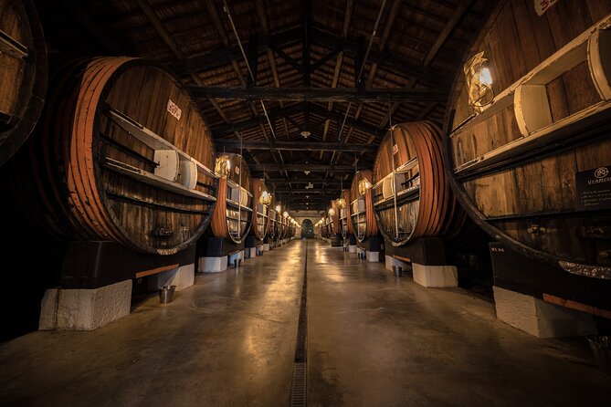 Maison Noilly Prat VIP tour, wine and vermouth tastings - Maison Noilly Prat VIP: what you’re really paying for