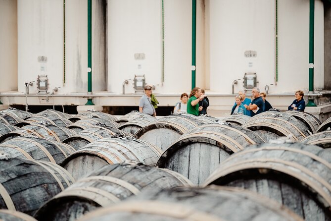Maison Noilly Prat VIP tour, wine and vermouth tastings - Step into the vermouth world: history, cellar master talk, cooperage access