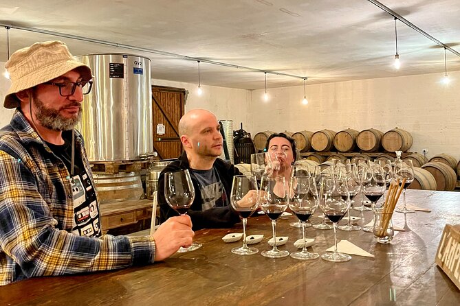 Margaux & Médoc: half day private tour in a classic car - Château Hourtin-Ducasse: the more technical tasting