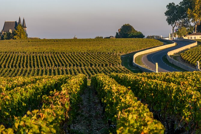 Margaux & Médoc: half day private tour in a classic car - The optional local picnic