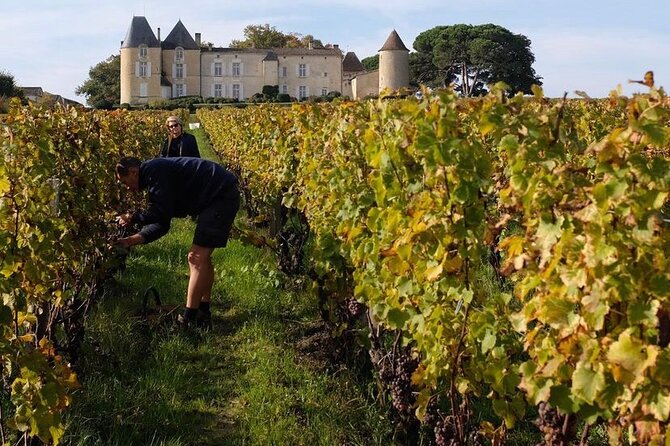 Margaux Wine Tour experience - Timing, meeting point, and cancellation