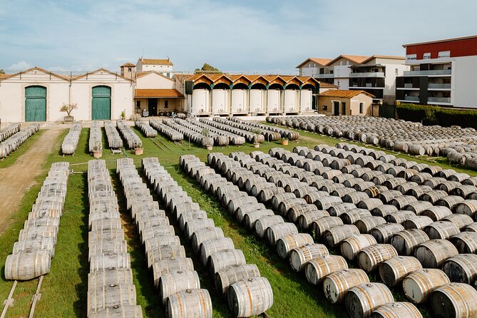 MARSEILLAN : Maison Noilly Prat, cellars visit and tasting FRENCH - Entering Noilly Prat’s cellars: what makes it special