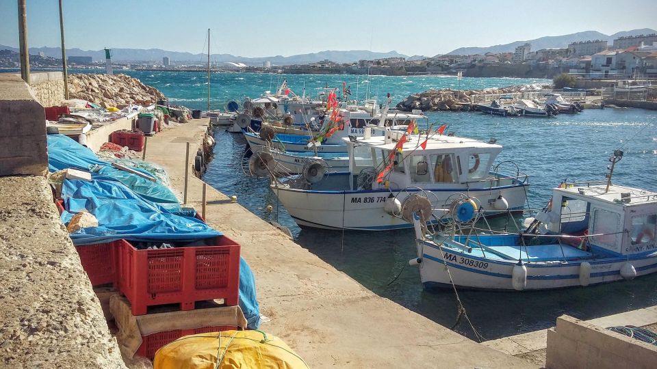 Marseille and Calanques ebike tour full day - What the guide adds to the ride