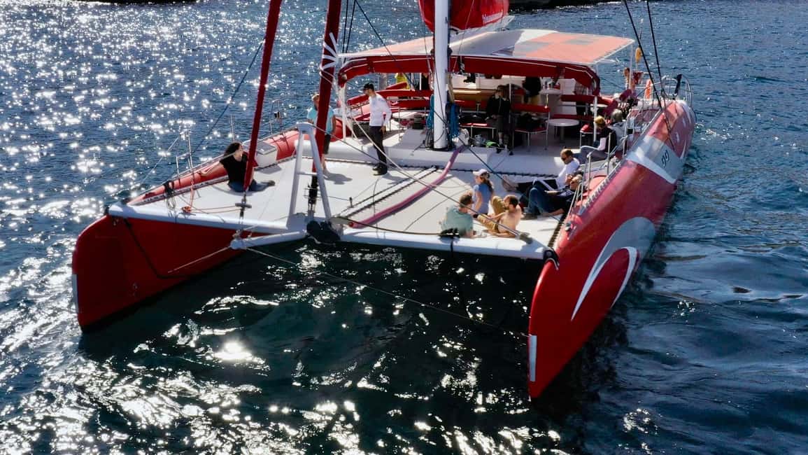 Marseille : Calanques Catamaran Cruise with Lunch & Wine - Who should book, and who should pass