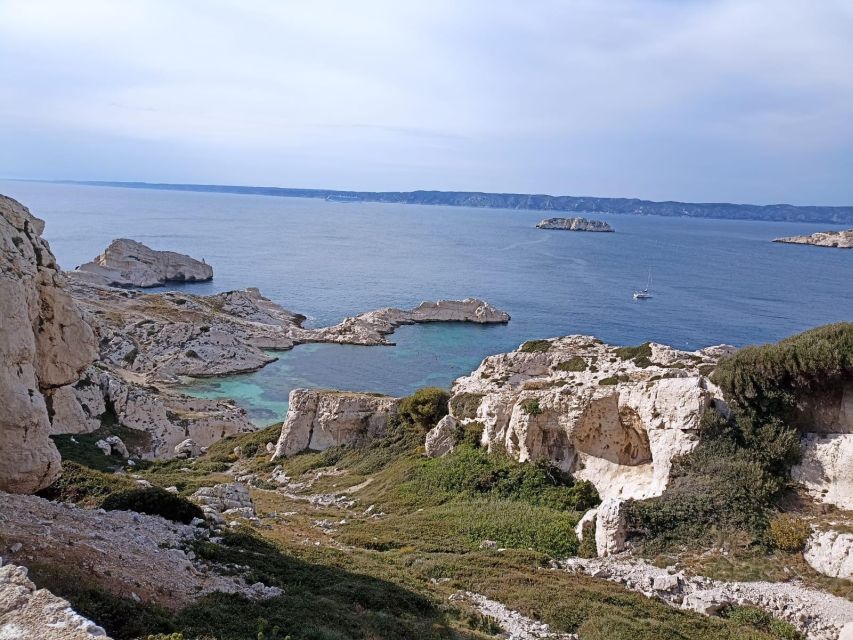 Marseille: Catamaran cruise to discover Frioul Islands - Château d’If and the Frioul Archipelago