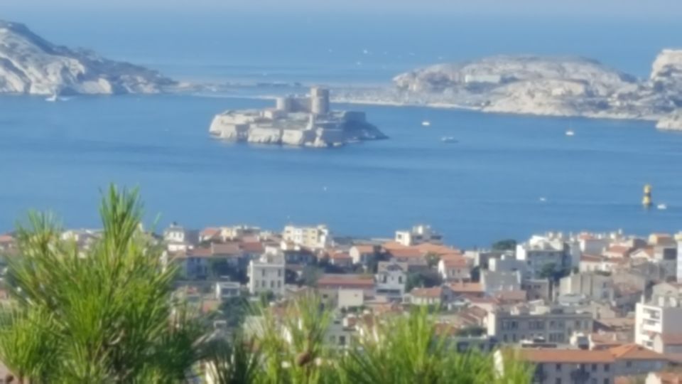 Marseille City Tour Half-Day - Starting at Marseille’s cruise terminal