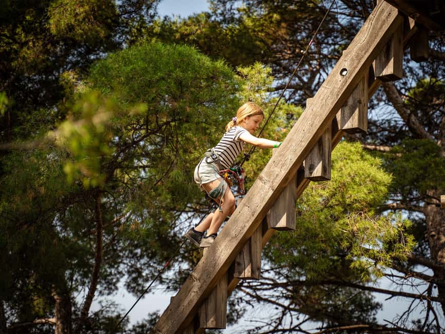 Marseille: Ecopark Adventures Treetop Adventure - Price and Value: What $28 Buys in Real Time Up There