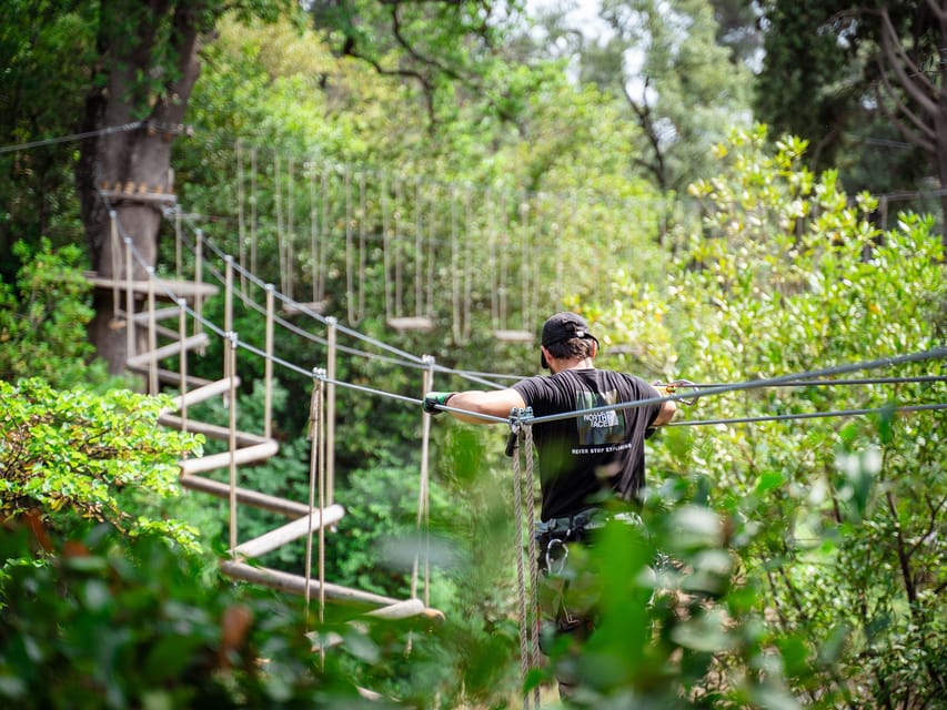 Marseille: Ecopark Adventures Treetop Adventure - Who This Is Perfect For (and Who Should Skip)