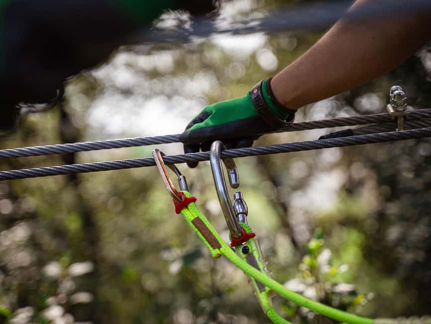 Marseille: Ecopark Adventures Treetop Adventure - Safety First, But Not in a Stuffy Way: Lifeline, Operators, and Real Limits