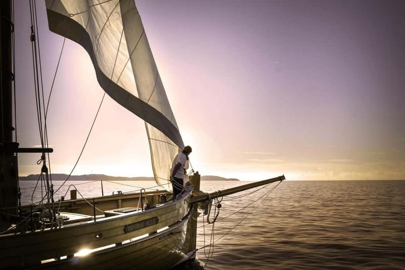 Marseille: Evening sailboat trip to the Calanques du Frioul with buffet and organic wine - Harbor cruise to the Frioul archipelago: music, photos, and the slow shift