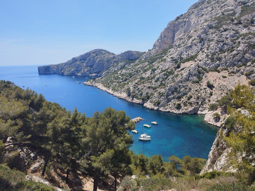 Marseille: Guided Hiking Calanques National Park from Luminy - Meeting at Luminy PN Calanques: starting point and how to not lose time