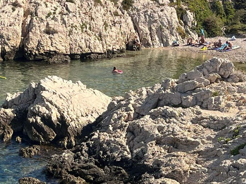 Marseille: Set sail for the Château d'If and the Frioul Islands - Dolphins, Sunfish, and That Unpredictable Marine Moment