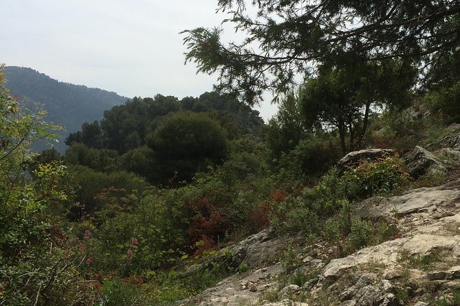 MARSEILLE Shore Excursion : Taste of Provence Aix and Cassis - Who Will Enjoy This Shore Excursion?