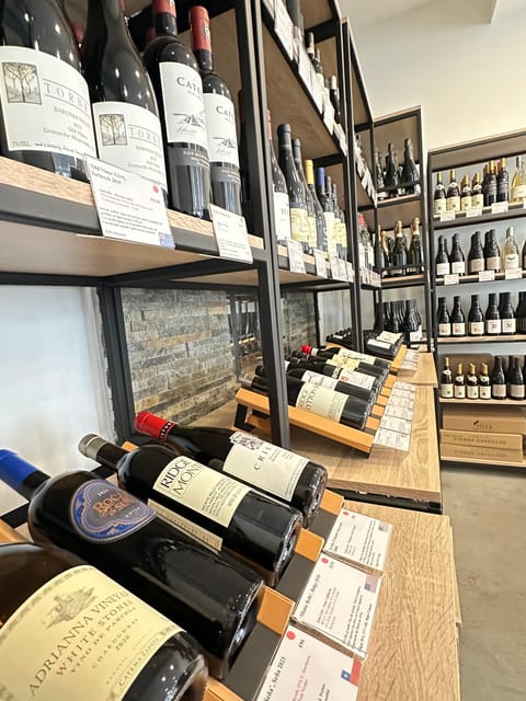 Marseille: Tailored Wine Tasting Experience in Top Wine Shop - How the tasting gets tailored: Provence vs all-France vs France-and-world pairs