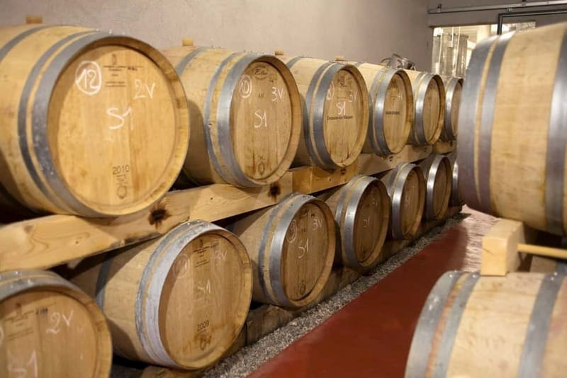 Marseille Vieux Port & Wine Tasting - Private Tour - Key points to know before booking