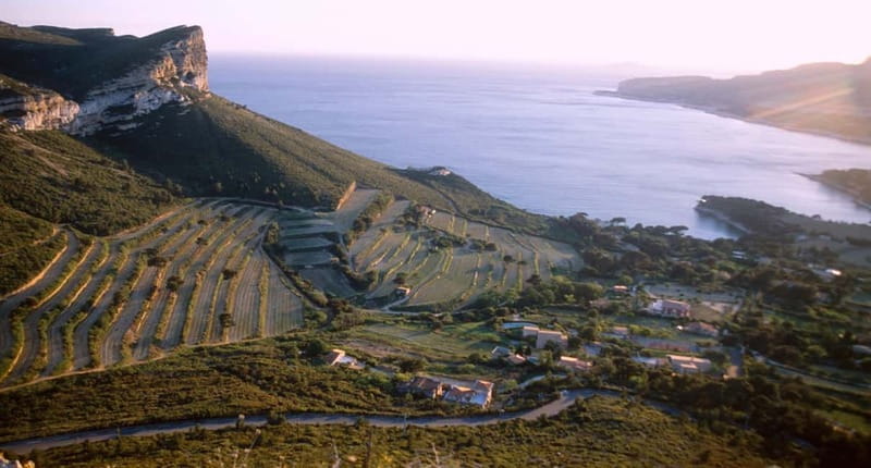 Marseille Vieux Port & Wine Tasting - Private Tour - Why this private day works well