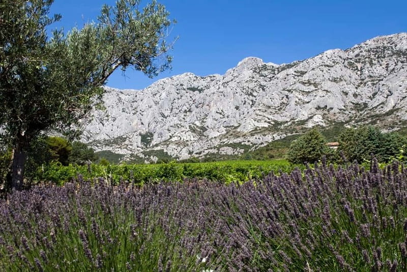 Marseille Vieux Port & Wine Tasting - Private Tour - Le Castellet, a medieval village above the vineyards