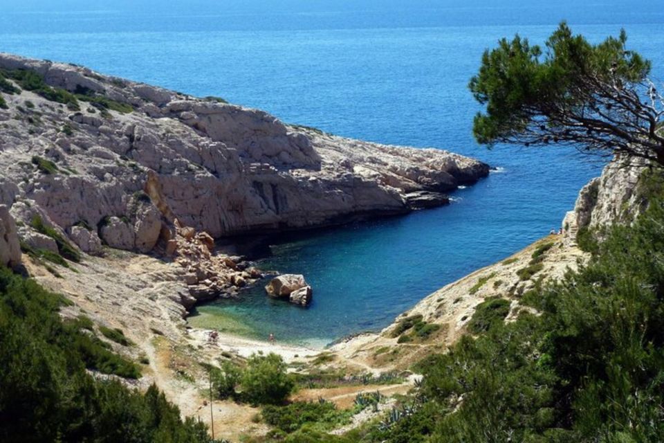 Marseilles: Private Custom Tour with a Local Guide - The advice you get after the last stop matters most