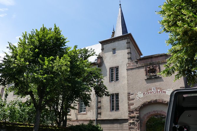 Medieval Villages and Wine Tasting from Strasbourg - Winemaker wine tasting: how to get the most from the stop