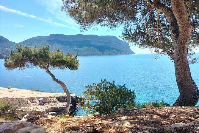 Mediterranean Dolce Vita: Cassis, Calanques Boat Ride & Appetizer - A private route from Aix to the Mediterranean