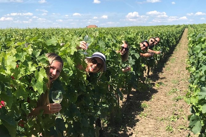 Medoc or Saint Emilion Wine Tasting and Chateau from Bordeaux - Choosing Médoc or Saint-Émilion: the Bordeaux split you’ll feel right away