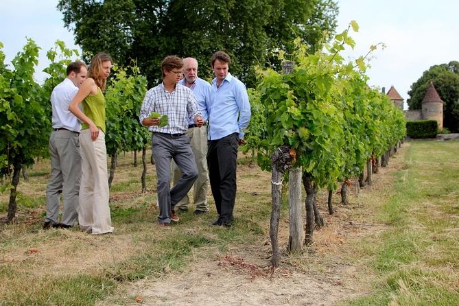 Medoc or Saint Emilion Wine Tasting and Chateau from Bordeaux - The ride from central Bordeaux: small-group, air-conditioned, question-friendly