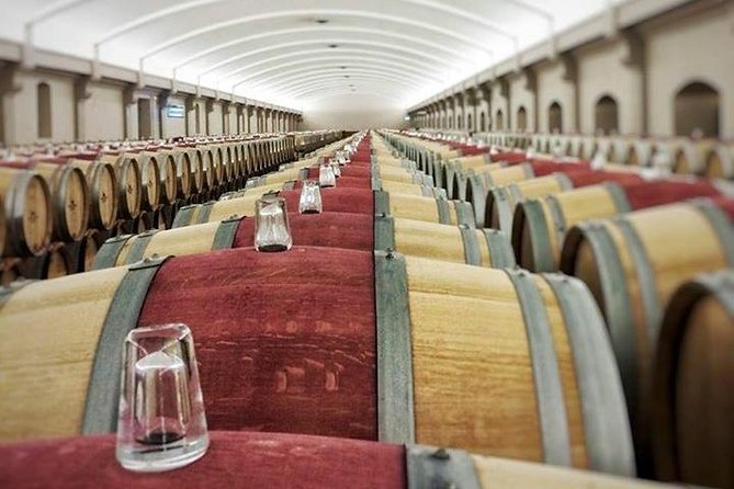 Medoc Region Private Sightseeing & Wine Day Trip with Tasting from Bordeaux - Why a Private Médoc Day Makes Sense