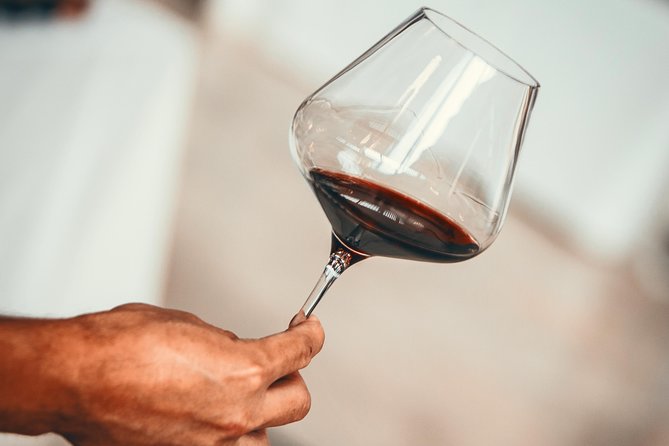 Medoc Region Wine Day Trip with Vineyard Visits & Tastings from Bordeaux - Key takeaways