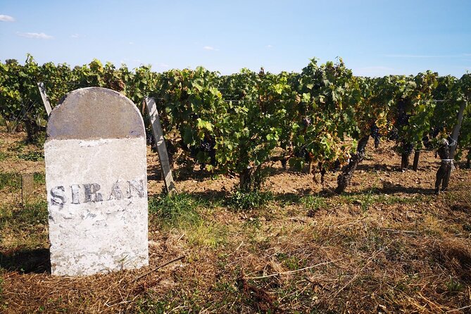 Medoc Region Wine Day Trip with Vineyard Visits & Tastings from Bordeaux - Pauillac Lunch and Free Time: How to Use Your Own Hours