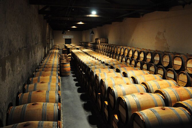 Medoc Region Wine Day Trip with Vineyard Visits & Tastings from Bordeaux - Comfort, Timing, and Weather: Set Yourself Up for a Smooth Day