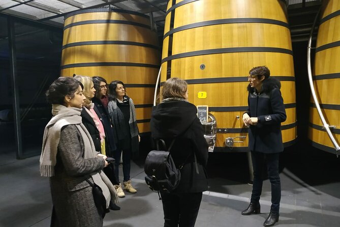 Medoc Region Wine Day Trip with Vineyard Visits & Tastings from Bordeaux - The Small-Group Advantage: Guides, Conversation, and a Real Sense of Pace