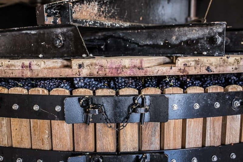 Meunier Champagne Experience tour - Passy-Grigny - Key things to know before you go