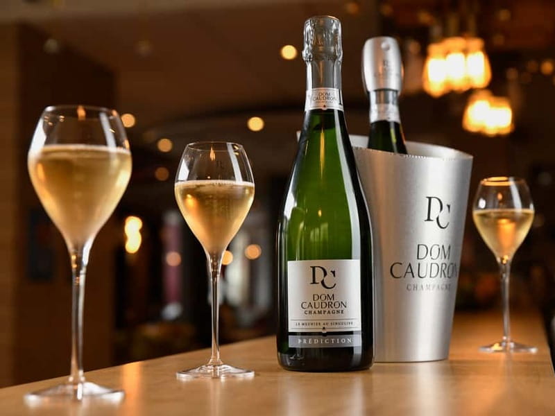 Meunier Champagne Experience tour - Passy-Grigny - Meunier-only in Passy-Grigny: the twist that makes it worth your time