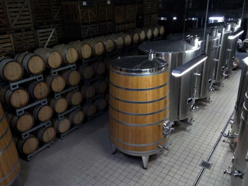 Meunier Champagne Experience tour - Passy-Grigny - Meunier grapes in plain language: what you’re actually learning