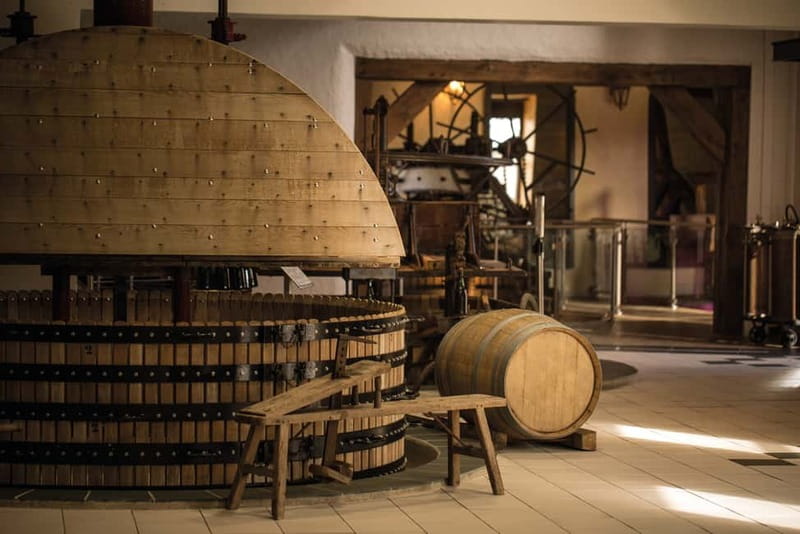Meunier Champagne Experience tour - Passy-Grigny - Champagne Dom Caudron: what you do during the guided cellar tour