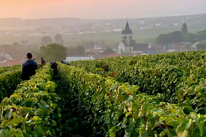 Moet et Chandon Pommery Pressoria Champagne Private trip - Pommery and a second major house