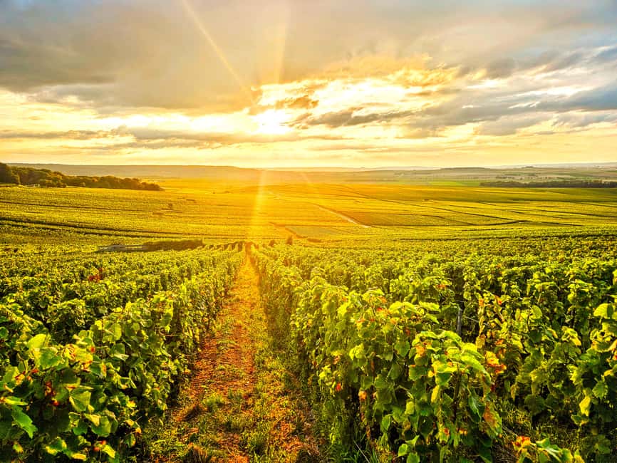 Moet et Chandon Tasting and Fun Private Tour in Champagne - Key points at a glance
