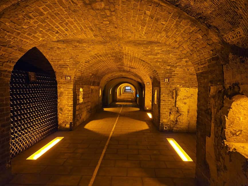 Moet et Chandon Tasting and Fun Private Tour in Champagne - Why this Champagne day works