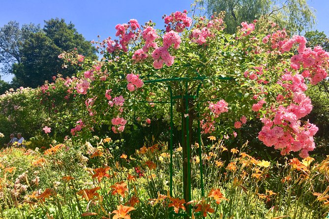Monet's Gardens & House-Private Giverny Tour From Paris - Clos Normand and the Water Lilies Connection