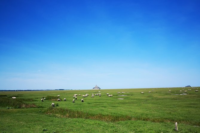 Mont Saint-Michel Day Trip from Bayeux (Shared tour) - Who should book this Mont Saint-Michel day trip?